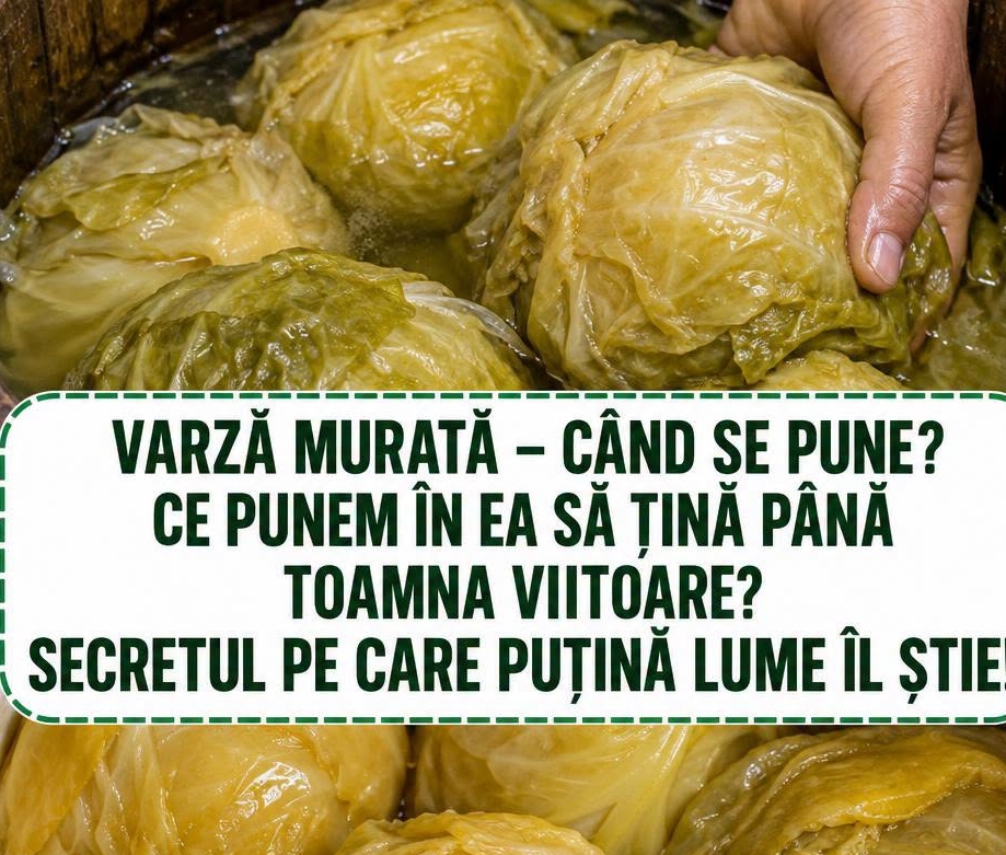 Varză Murată – Când se pune? – Calatorinromania